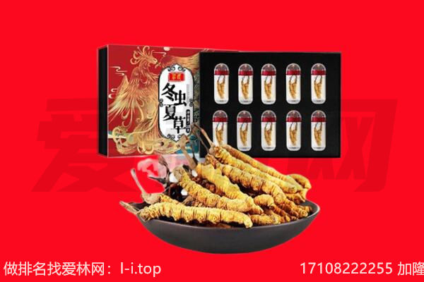 红旗区回收虫草.jpg